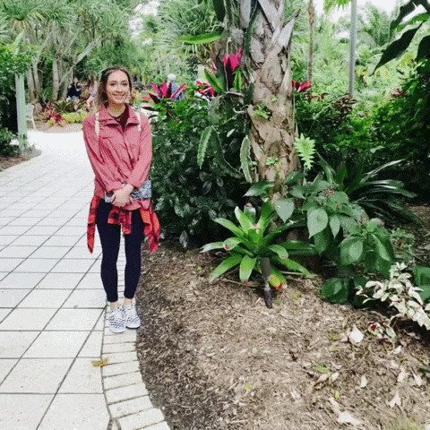 Animated GIF-downsized_large