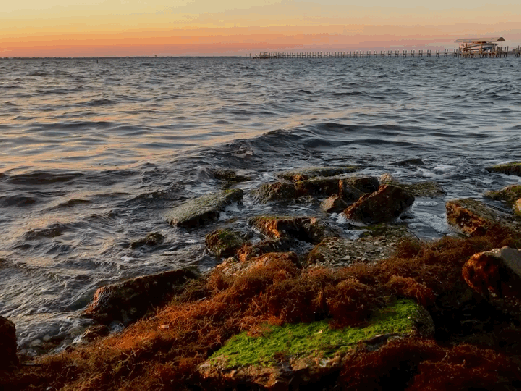 2020-05-06 22:41:34 +0000