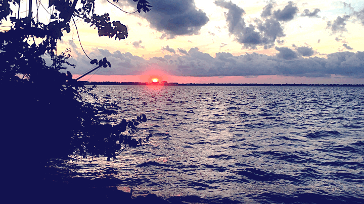 2020-05-09 03:12:55 +0000